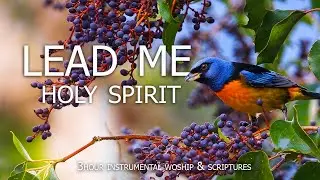 Lead Me Holy Spirit: Soaking Worship, Prayer Music & Healing Music With Scriptures🕊️ Christian Piano