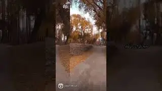 #youtube_shorts #shorts #reels #travelling #trip #road_trip #tour