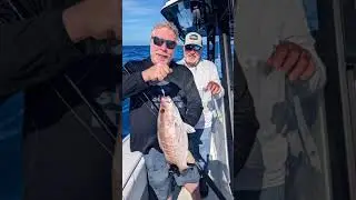Putting Costa King Tide 8 sunglasses to the test. #boats #fishing #costadelmar #sunglasses