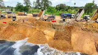 WOW Nicely, Activities SHANTUI DH17 C3 Dozer & Many Dump Truck Unloading Stone Back Fill Big Pond