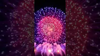 Fireworks Passion #fireworks #pirotecnica