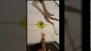 9GAG Hot Random Images
