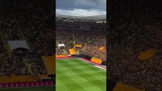 Christoph Daferner verl&auml;ngert bei Dynamo Dresden - Daffi bleibt ein Schwarz-Gelber🖤💛