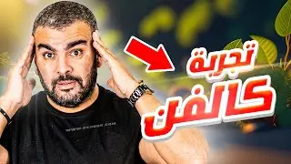 اقوى شرح لتجربة كالفن المرحلة الكيموحيوية التركيب الضوئي باكالوريا علوم الطبيعة والحياة