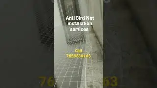Pigeon Net Installation Near Me | KD Safety Nets| Birds Control Service | Bird Netting Installation