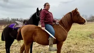 Kali on Horseback: Insights from my Exploration in 2025