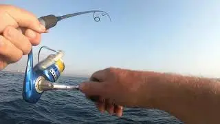 BAITFISH MAYHEM- Slow Jigging offshore - Durban