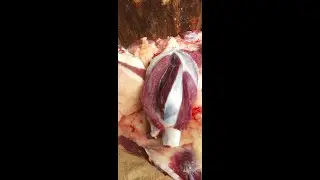 The Journey of Beef Full Fresh Cow Cutting & Meat Prep Video. #beef #cuttingskills
