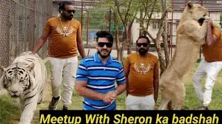 Meetup With | Sheron Ka Badshah  Asif Sheron Wala | The Lion Stunt Man| In Topcity-1|05-06-2024