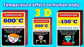 Temperature vs human body|data comparison