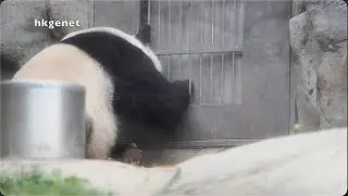 20251010 盈盈 不准關🚪😄