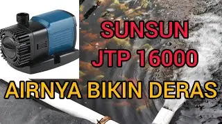 Review Mesin Pompa SUNSUN JTP 16000 | Bikin kolam tambah kinclong #koiindonesia