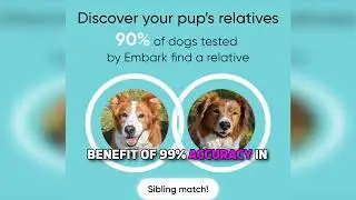 Embark Breed ID Kit Review | Most Accurate Dog DNA Test for Mixed Breeds and Relatives