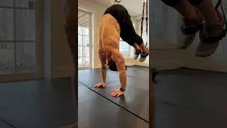 TRX LEG EXTENSION #quads #legs #core #shoulders #trx #strength #bodyweight #athlete #muscle #abs