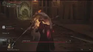 How to beat godskin apostle at twin peaks as a low level