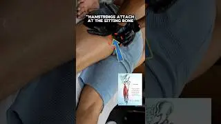 &ldquo;The SECRET Spot to Fix Hamstring Pain 🔑