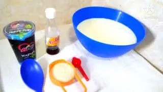 HOME MADE VANILLA YOGHURT.