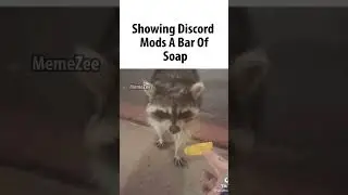 discord mods