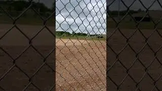 Two 83 mph fastball, 7 K no hits #baseball #cutter #fastball