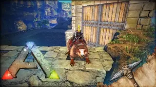 ULTIMATE TAMING PEN! :: Ep 9 :: Ark: Back to Basics