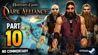 Baldur's Gate Dark Alliance-Part 10 (Steam) No Commentary