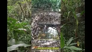 2022 Noviembre 9. Agua del Guadual