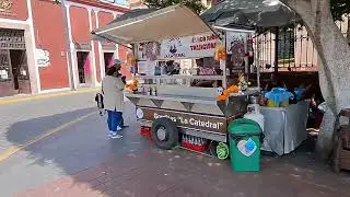 Celaya Guanajuato México 🇲🇽 