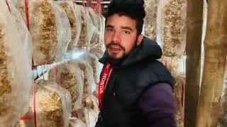 mushroom farming in waling #waling #syangja #mashroom #farming 