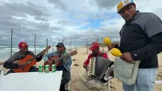 TIGRES DE CUBA ( playa de Santa Mar&iacute;a )10 noviembre 2015