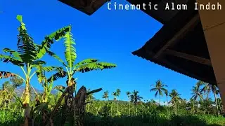 🌿Cinematic Alam || Story wa || CINEMATICAESTHETIC || NATURE CINEMATIC