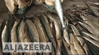 Pakistan's fishermen oppose Gwadar relocation