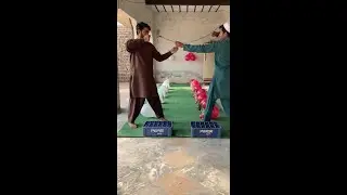 Balloon Toff Popping Challenge LIVE 🎈 | Fun  #live #gamechallengeathome   #challenge  #viral