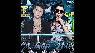 Nonstop - Cá Gặp Nước - Dj Shin ft Bao Teng