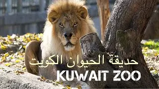 Kuwait zoo -2020 حديقة الحيوان الكويت (vlog 7)