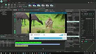Quasi-Real Green Screen Tutorial - VSDC