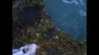 GROUPER C&R1