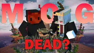 IS MOG NETWORK ACTUALLY DEAD?