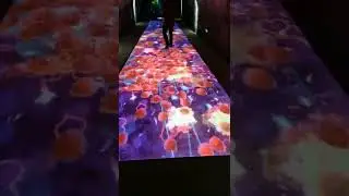 #interactive #travel #projection #3d #immersive