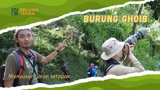 GUYUB PPBI 11 PEKALONGAN | TELUSUR JALAN SETAPAK, TIPS DAN TRIK PENGAMATAN BURUNG YANG SUPER SERU