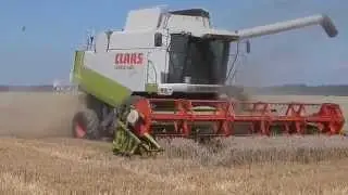 Moisson du bl&eacute; 2014 CLAAS Lexion 440