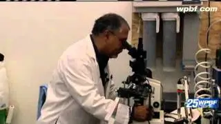 Forensics Testing Helps Law Enforcement Solve Wildlife Crimes