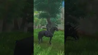Sorry for not posting yesterday, I was really busy 😓 #horse #starstableonline #sso #kwpn #haflinger
