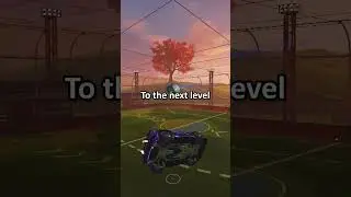 These Training Packs will 3X Your Mechanics!