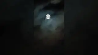#Supermoon live at 11:59 on 1 August 2023 #viral #shorts #trending #viralvideo #reels #moon #sun