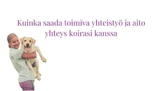 Webinaari: Kuinka saada yhteys ja yhteistyö toimimaan koirasi kanssa | Koiran mielenhallinta