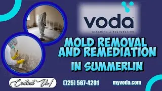 Mold Removal And Remediation In Summerlin | Voda Cleaning & Restoration Summerlin