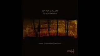 Joshua Calleja - Blonde Dimension (Jason Patrick and Mike Derer Remix)  [Northern Parallels 022]