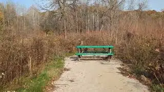 Easy Hike on Warm October Afternoon | Full Hike POV, Hiking ASMR | Annis Fish Hatchery Preserve, MI
