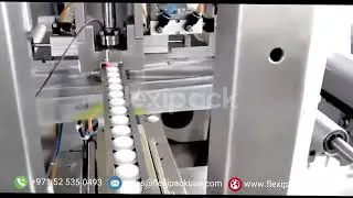 Automatic Servo VFFS Coffee Powder Packing Machine With Degassing Valve Applicator - Flexipack UAE 