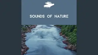 Yoga Studio Sound